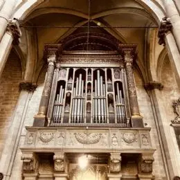 organo cattedrale