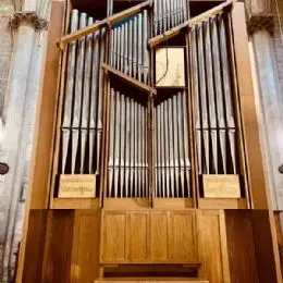 Orgel Pinchi Opus